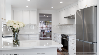 Project of the Month - March 2024