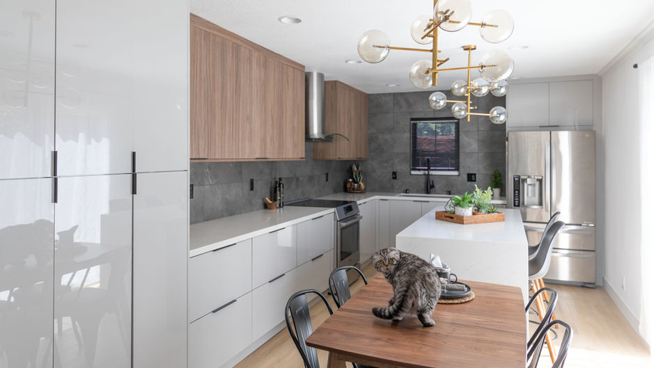 Project of the Month - August 2022