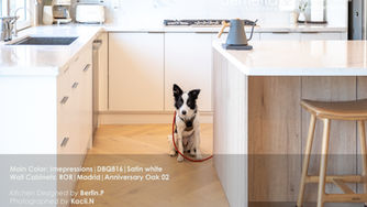 Project of the Month - August 2021