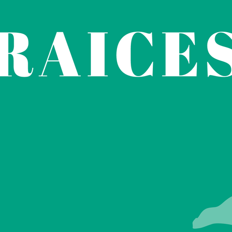 My Summer of Service