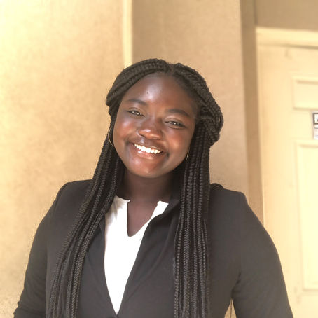 My Summer Internship