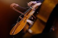 istockphoto-1302833945-612x612.jpg