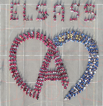Logo Elsass collège du Bernstein.png