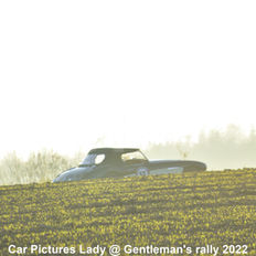 Austin Healey vert 53 (6).jpg