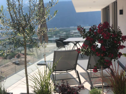 signal-2021-07-30-184748 (10).jpg