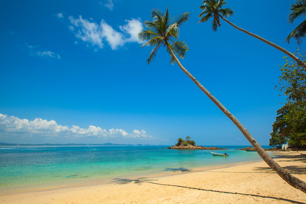 Caribbean beach with palm trees and ocean view