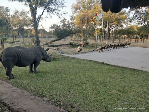 The Cobras place 4th in the Push-Up Challenge!