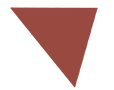triangle marron.png