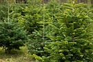 AdobeStock_485553119.jpeg
