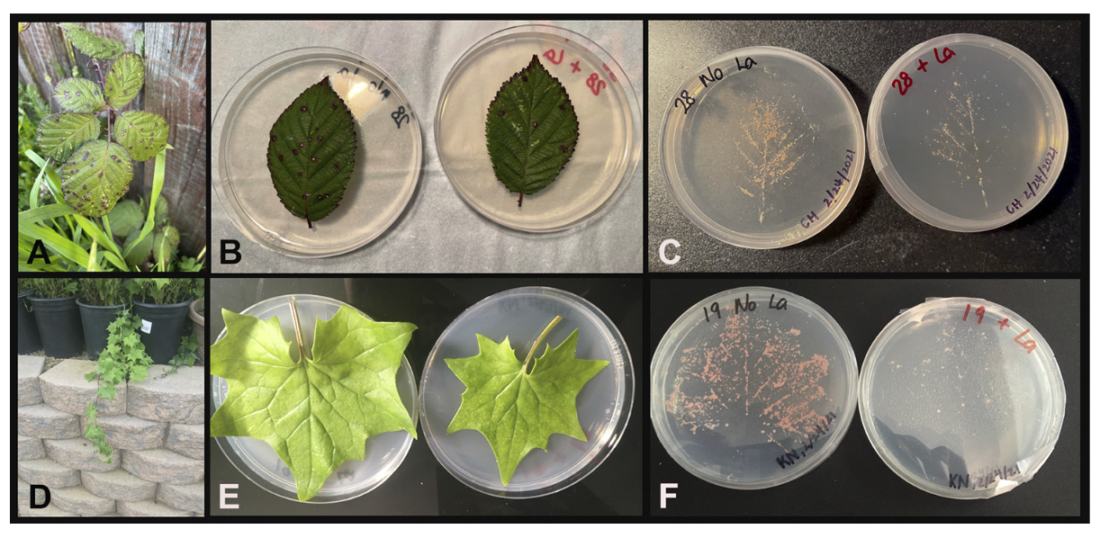 Capture d’écran, le 2025-11-10 à 16.55.46.png