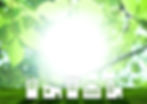 4929390_l.jpg