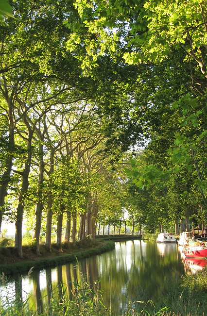 Canal_du_Midi.jpg