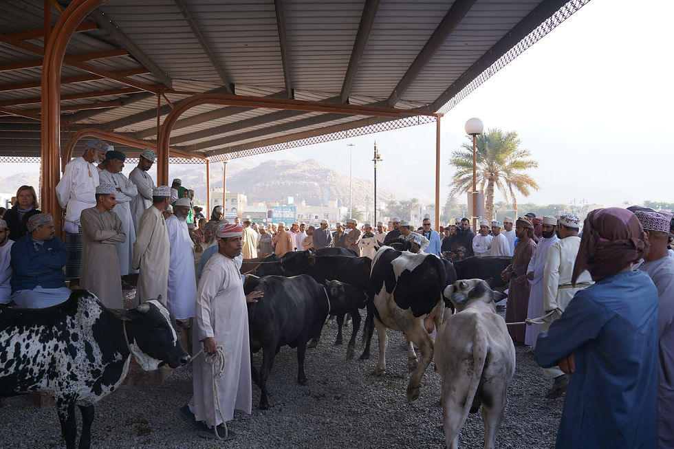People in traditional attire gather at a livestock market with cows under a metal roof. Mountain view in the background adds to the lively scene.