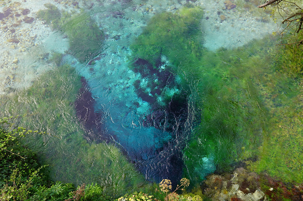 Vibrant turquoise and green water with swirling patterns, surrounded by lush vegetation. Clear, fresh visuals create a tranquil mood.
