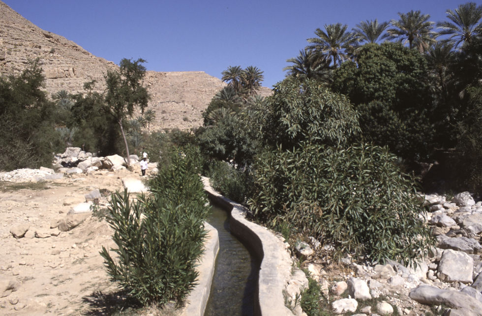 Oasis scene with palm trees, rocky terrain, and a narrow water channel. Two people walk along the path, under a clear blue sky.