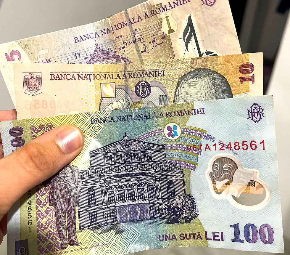 Don't forget to take some Romanian Leu in small denominations as local vendors may not have large amounts of cash.