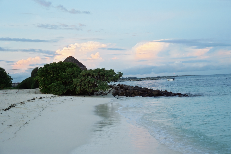 Calm beach at sunset with palm trees and rocks. The sky is filled with pink-tinged clouds, and the sea reflects pastel hues. Peaceful mood.