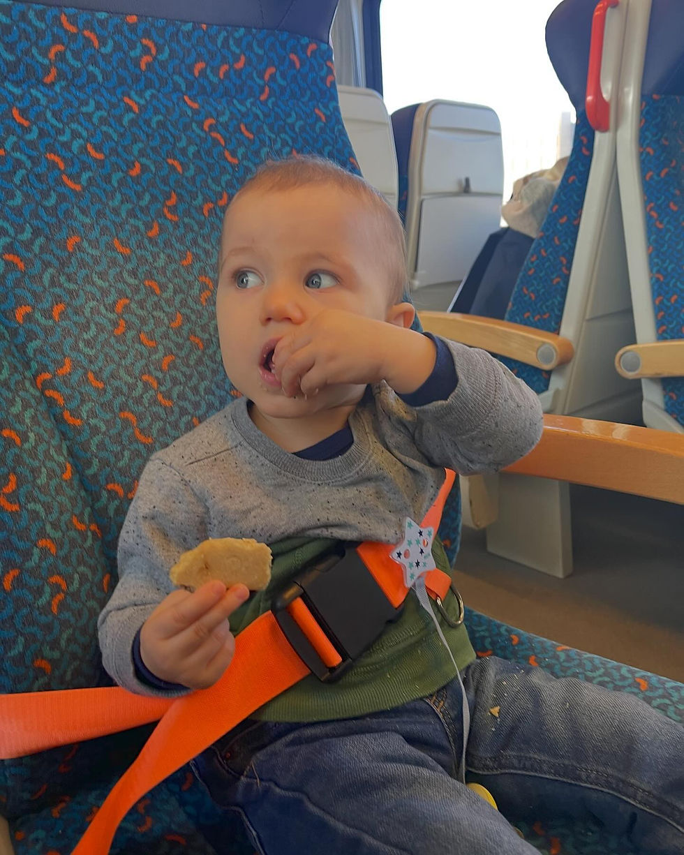 Toddler in gray sweater and jeans eats a biscuit on a train. Orange seatbelt and patterned seat. Curious expression. Bright setting.