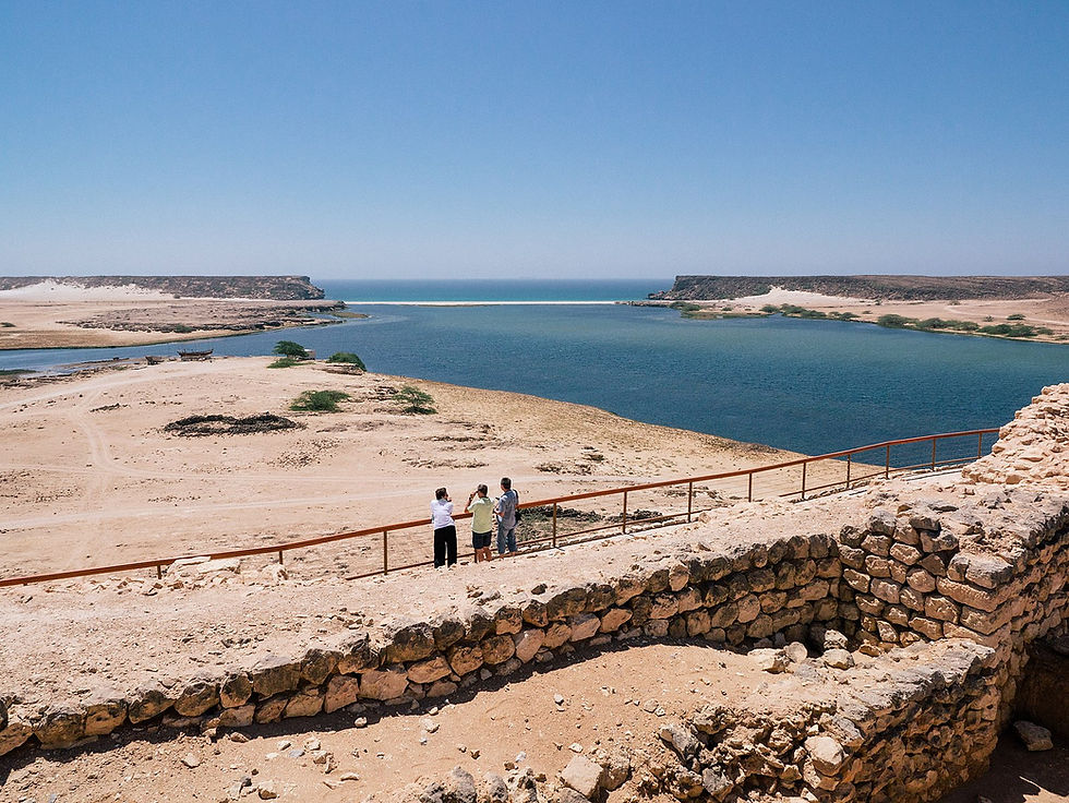 Three people stand by a stone wall overlooking a coastal desert with blue waters under a clear sky. They observe the scenic view.
