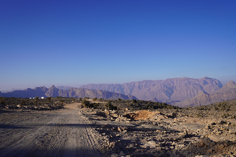 Rocky dirt road in a barren landscape, with distant blue mountains under a clear sky. Sparse vegetation and a serene, remote vibe.