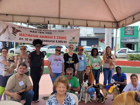 1ª Cãominhada da 77ª Subseção