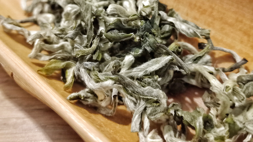 Tè verde in foglia, dallo Yunnan (Cina).