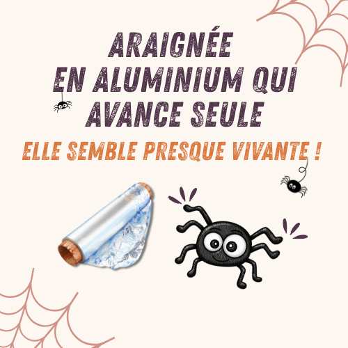 L’Araignée en Aluminium qui Avance Seule, Elle semble presque vivante !