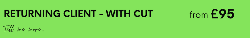 RETURNING CLIENT - WITH CUT