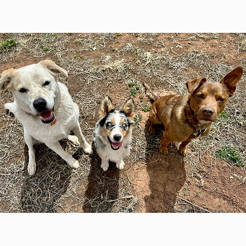 Current Seed + Stone Farm hands