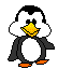 pingouin050.gif