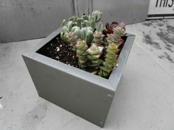 Steel Planter
