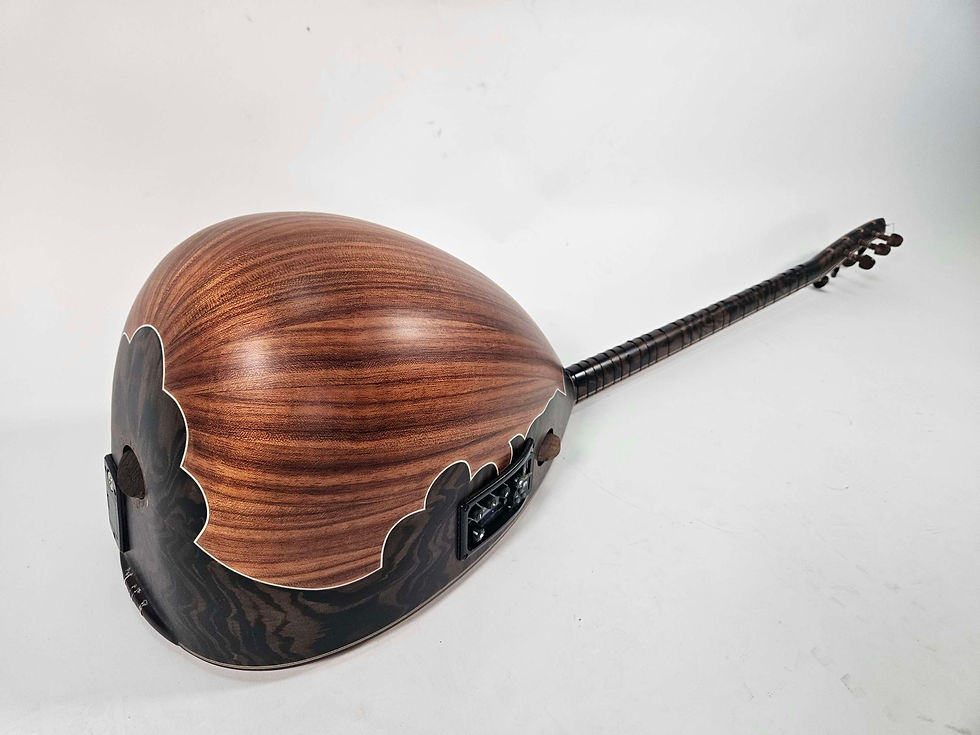 Miniaturbild: Saz Langhals -Uzun Sap +EQ usb