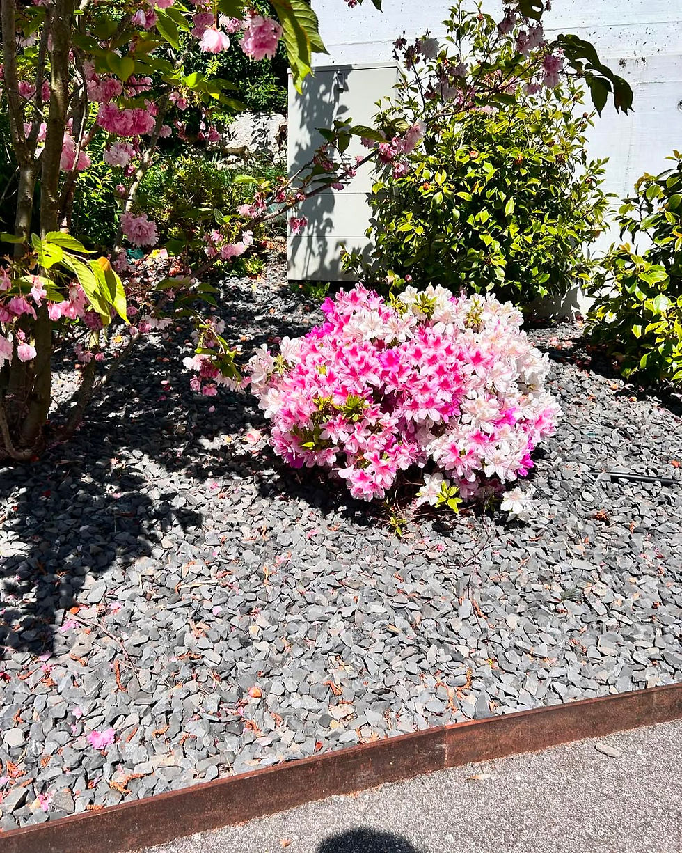 🌱 Chaque travail a ses résultats magnifiques 🌺💐à la fin 🌼.jpg