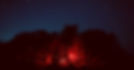 Silhouetted trees under a starry night sky with red light_edited_edited.jpg
