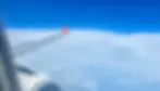 ree