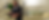 desktop website (3).png