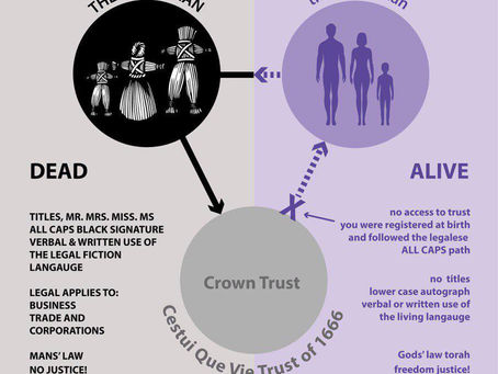 Natural Common Law vs Maritime Admiralty Law