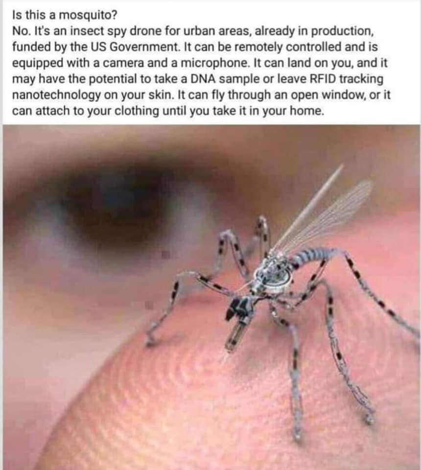 ree