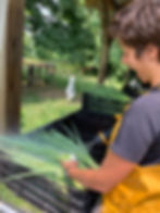 Apprentice Emma washes green onions