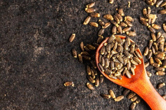 Cricket Protein: A Game-Changer in Nutrition