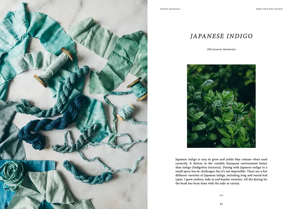 Miniature : Livre DIY teinture végétale – couleurs botaniques et fibres naturelles