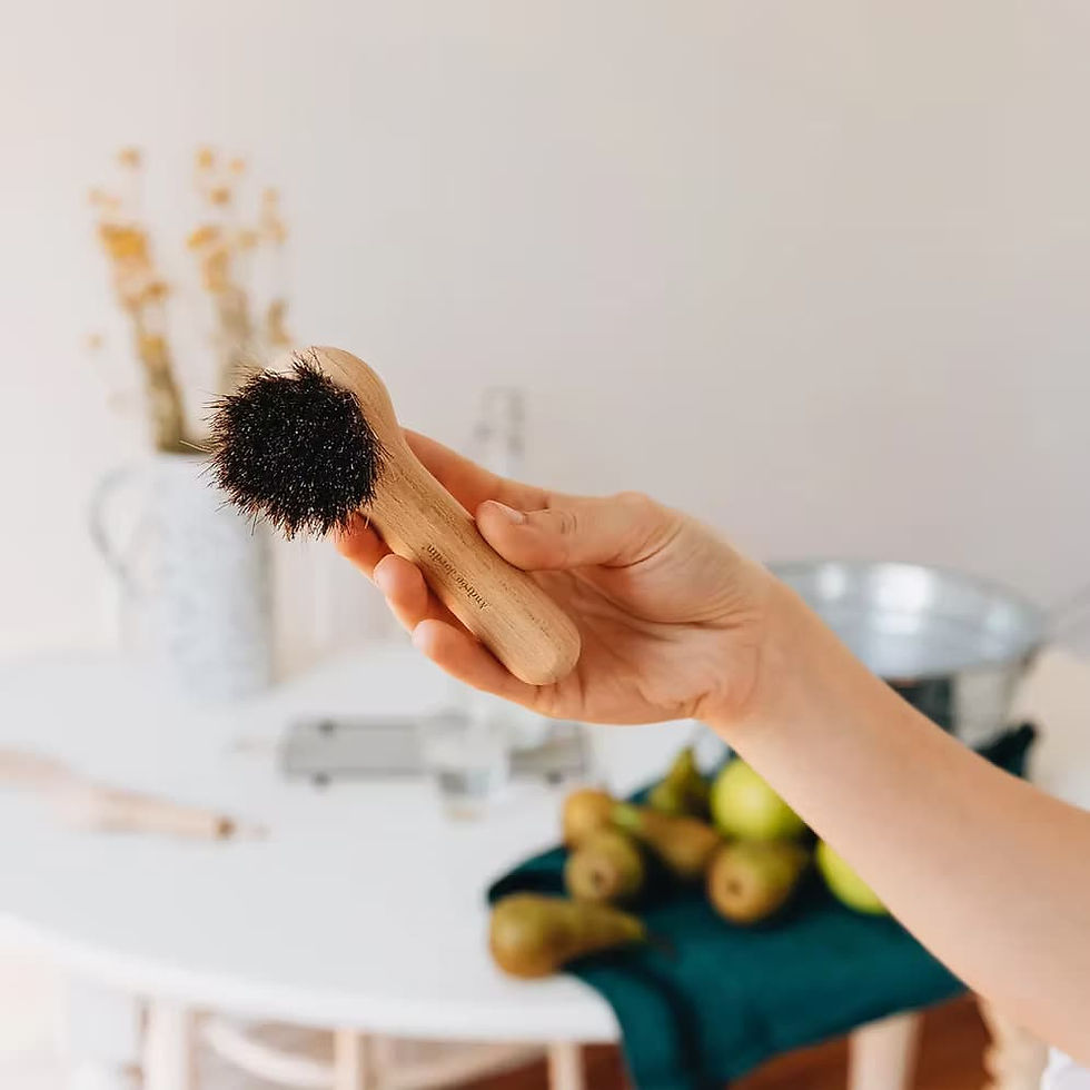 Brosse à champignons et fruits en bois de hêtre et crin doux – Andrée Jardin Les Jolies Emplettes