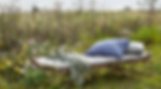 page-accueil-les-jolies-emplettes.webp