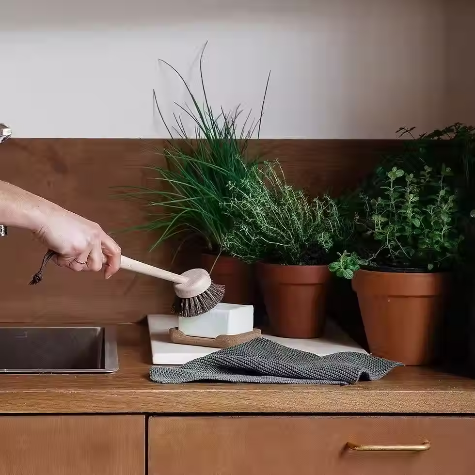 Brosse vaisselle hêtre crin Andrée Jardin ambiance cuisine naturelle