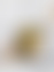 Brosse à vaisselle bois bouleau huilé crin de cheval Iris Hantverk — Les Jolies Emplettes