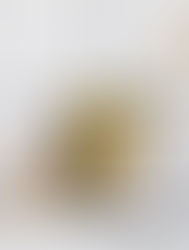 Brosse à vaisselle bois bouleau huilé crin de cheval Iris Hantverk — Les Jolies Emplettes