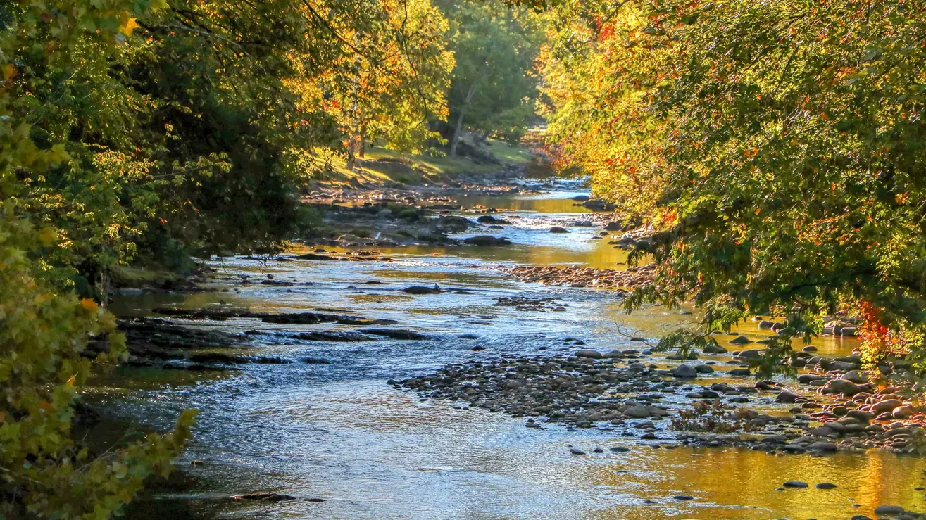 Sunlight on the Little Pigeon River