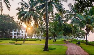 Screenshot 2020-04-09 at 10.22.35 AM.png