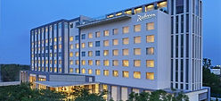Hotel Radisson
