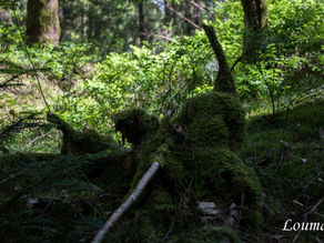 Vivre est le sens même de la « Vie ».